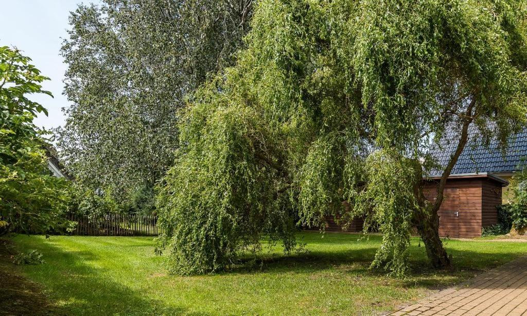 Kiek Oever Ahrenshoop Exterior foto